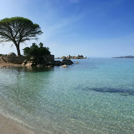 호텔 Golden Tulip Porto-vecchio 포르토베쉬오